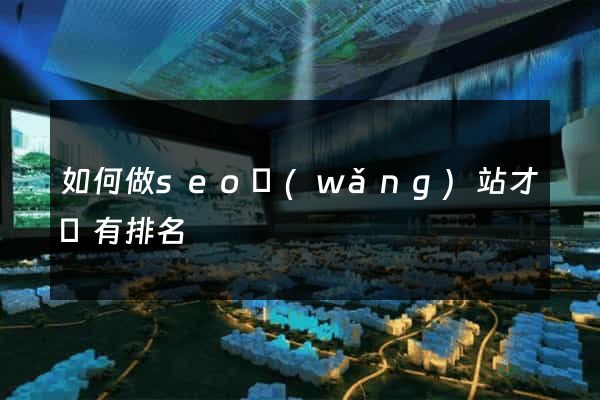 如何做seo網(wǎng)站才會有排名