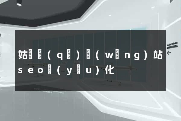 姑蘇區(qū)網(wǎng)站seo優(yōu)化