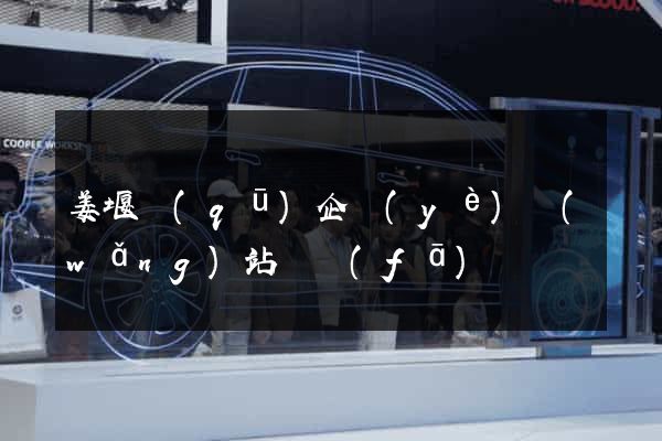 姜堰區(qū)企業(yè)網(wǎng)站開發(fā)