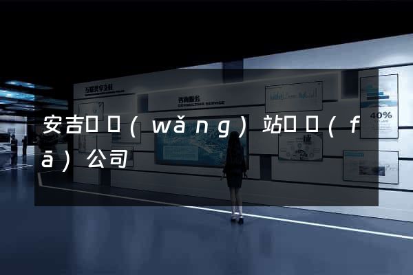 安吉縣網(wǎng)站開發(fā)公司