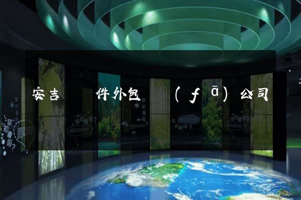 安吉縣軟件外包開發(fā)公司