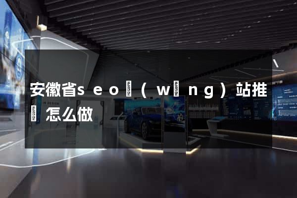 安徽省seo網(wǎng)站推廣怎么做