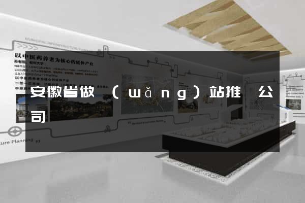 安徽省做網(wǎng)站推廣公司