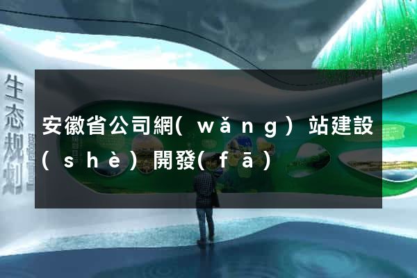 安徽省公司網(wǎng)站建設(shè)開發(fā)