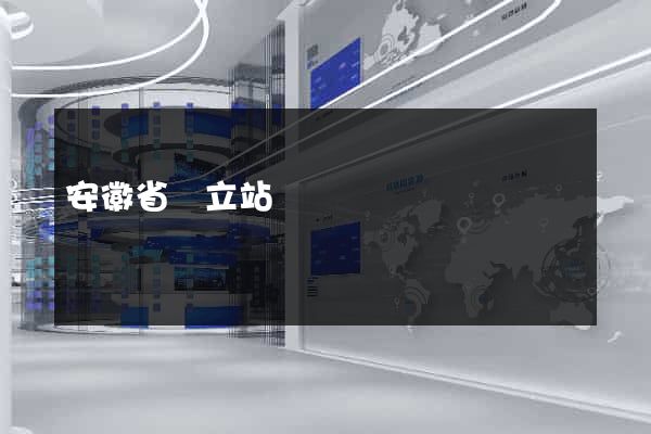 安徽省獨立站運營