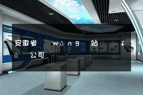 安徽省網(wǎng)站開發(fā)公司