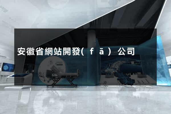 安徽省網站開發(fā)公司