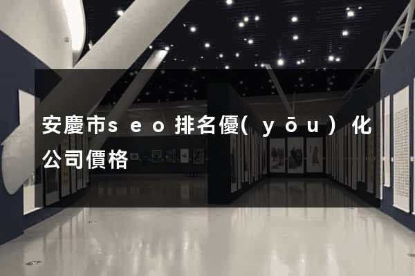 安慶市seo排名優(yōu)化公司價格