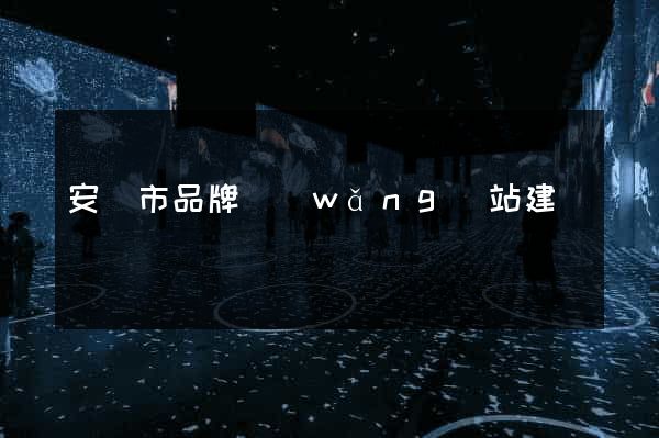 安慶市品牌網(wǎng)站建設