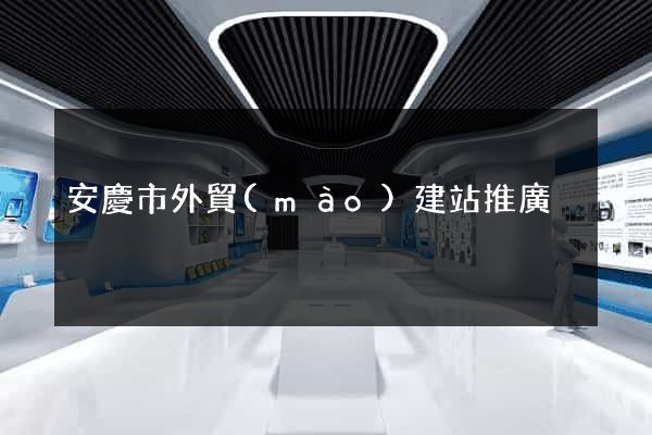 安慶市外貿(mào)建站推廣