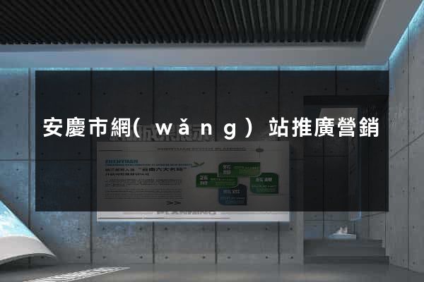 安慶市網(wǎng)站推廣營銷