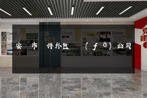 安慶市軟件外包開發(fā)公司