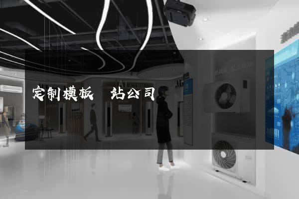 定制模板網站公司
