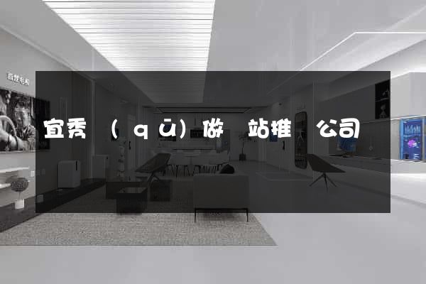 宜秀區(qū)做網站推廣公司