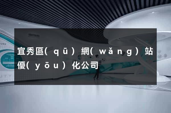 宜秀區(qū)網(wǎng)站優(yōu)化公司