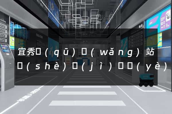 宜秀區(qū)網(wǎng)站設(shè)計(jì)專業(yè)的公司
