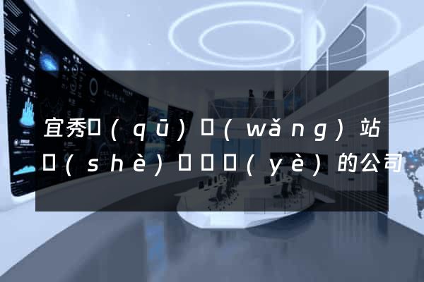 宜秀區(qū)網(wǎng)站設(shè)計專業(yè)的公司