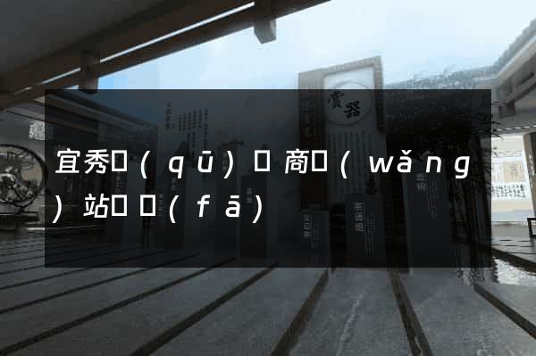 宜秀區(qū)電商網(wǎng)站開發(fā)