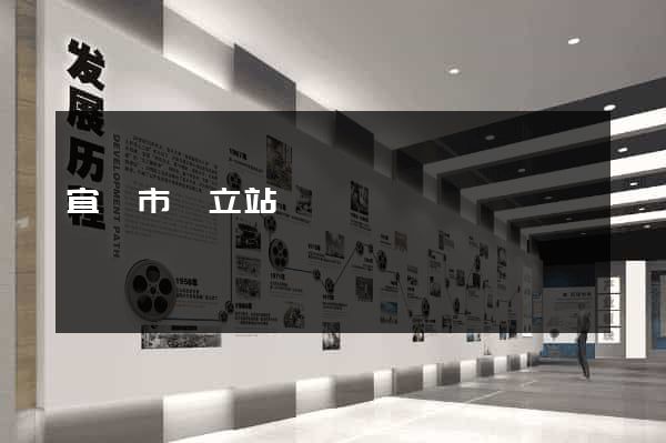 宜興市獨立站運營