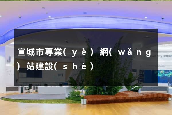 宣城市專業(yè)網(wǎng)站建設(shè)