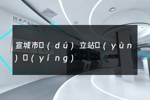 宣城市獨(dú)立站運(yùn)營(yíng)