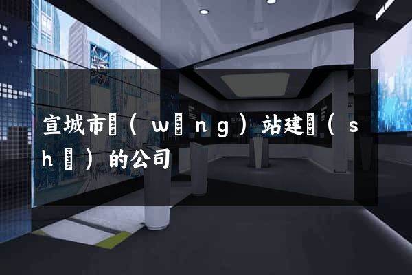 宣城市網(wǎng)站建設(shè)的公司