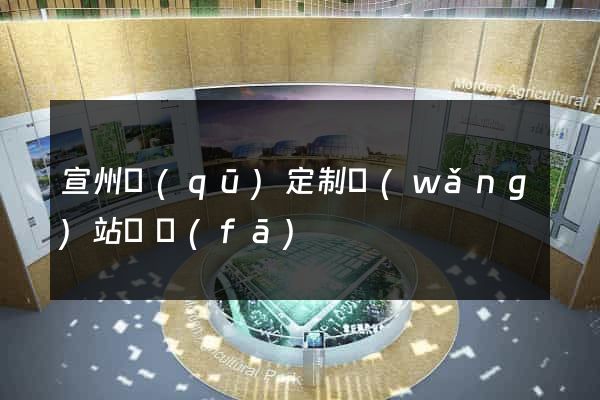 宣州區(qū)定制網(wǎng)站開發(fā)