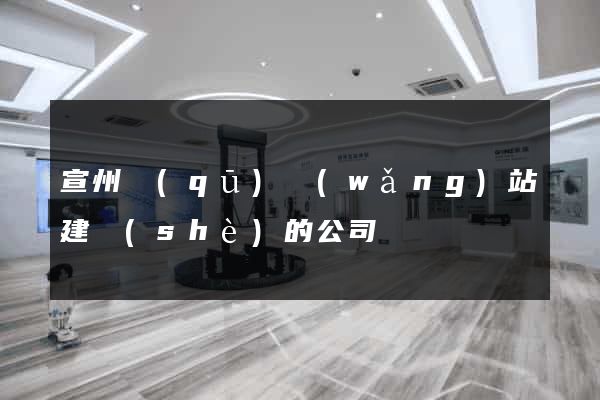 宣州區(qū)網(wǎng)站建設(shè)的公司