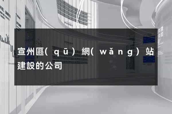 宣州區(qū)網(wǎng)站建設的公司