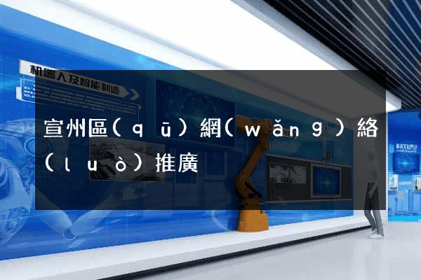 宣州區(qū)網(wǎng)絡(luò)推廣