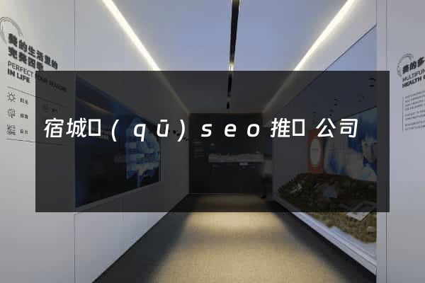 宿城區(qū)seo推廣公司