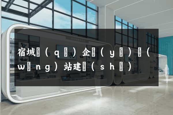 宿城區(qū)企業(yè)網(wǎng)站建設(shè)