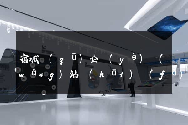 宿城區(qū)企業(yè)網(wǎng)站開(kāi)發(fā)