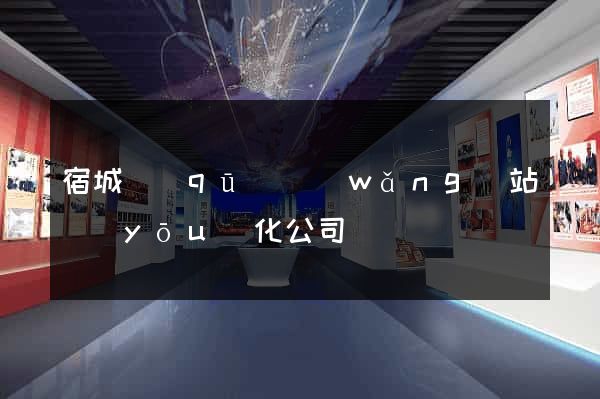 宿城區(qū)網(wǎng)站優(yōu)化公司