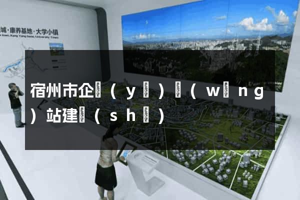 宿州市企業(yè)網(wǎng)站建設(shè)