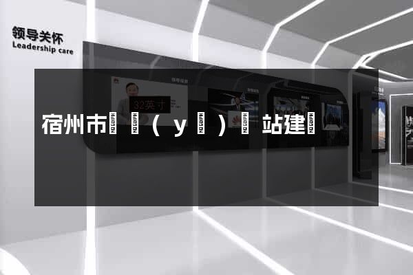 宿州市專業(yè)網站建設