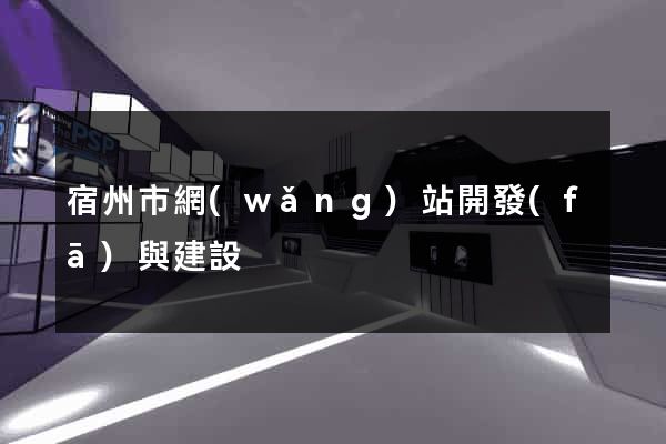 宿州市網(wǎng)站開發(fā)與建設