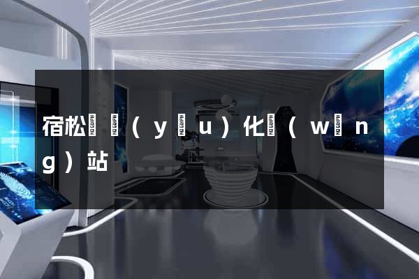宿松縣優(yōu)化網(wǎng)站