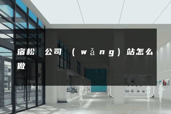 宿松縣公司網(wǎng)站怎么做