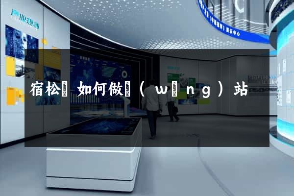 宿松縣如何做網(wǎng)站