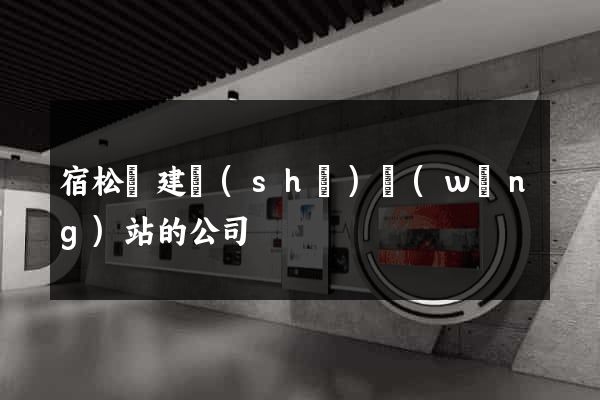 宿松縣建設(shè)網(wǎng)站的公司
