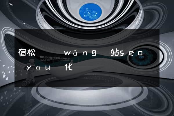 宿松縣網(wǎng)站seo優(yōu)化