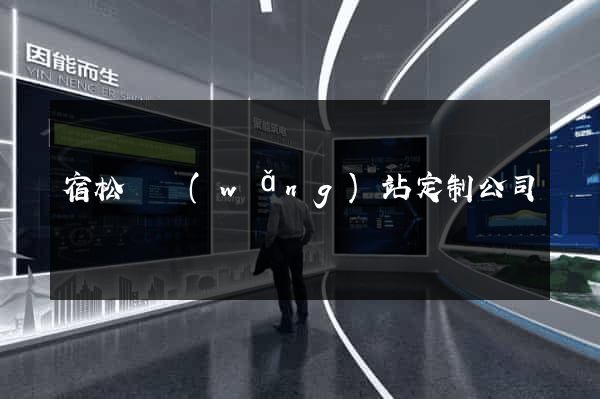 宿松縣網(wǎng)站定制公司