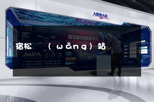 宿松縣網(wǎng)站營銷