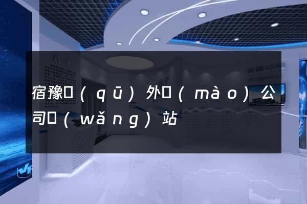 宿豫區(qū)外貿(mào)公司網(wǎng)站