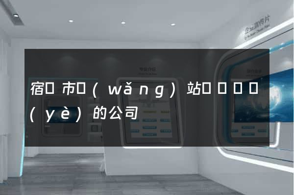 宿遷市網(wǎng)站設計專業(yè)的公司