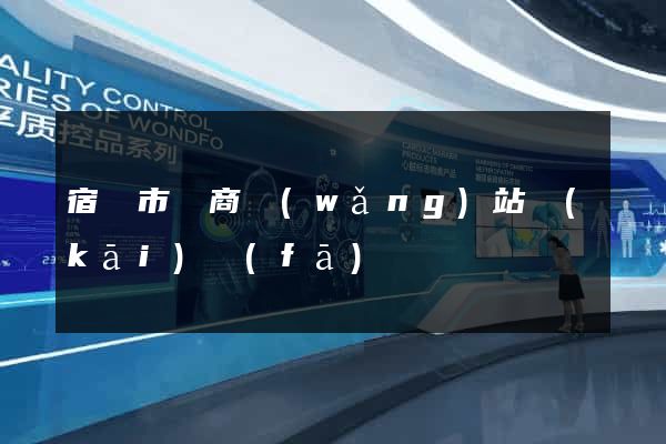 宿遷市電商網(wǎng)站開(kāi)發(fā)
