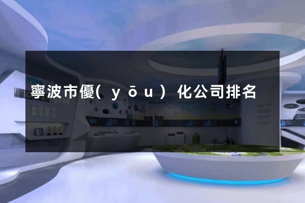 寧波市優(yōu)化公司排名