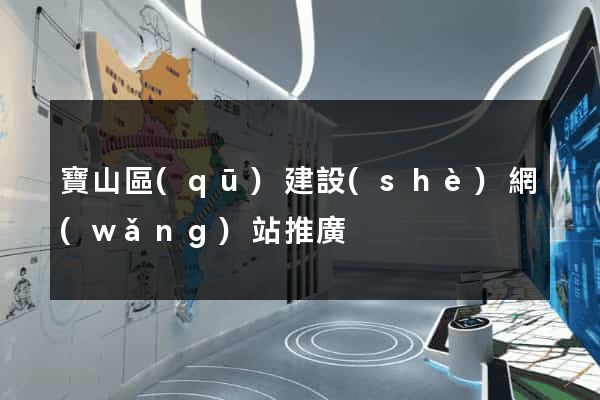 寶山區(qū)建設(shè)網(wǎng)站推廣