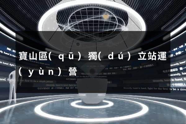 寶山區(qū)獨(dú)立站運(yùn)營